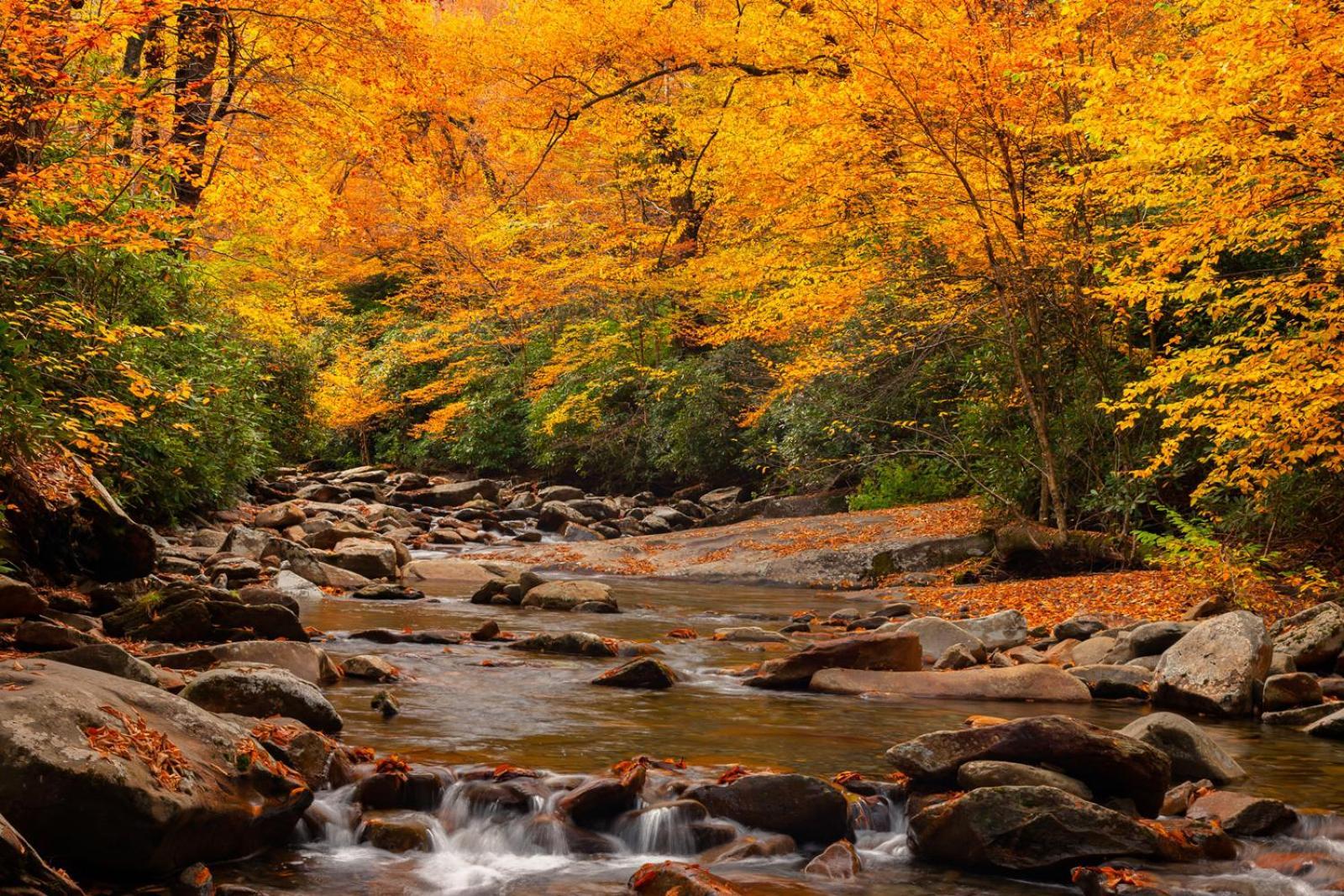 A Charming Cabin, Pool, Firepit, Hot Tub-Jacuzzi Gatlinburg Eksteriør bilde