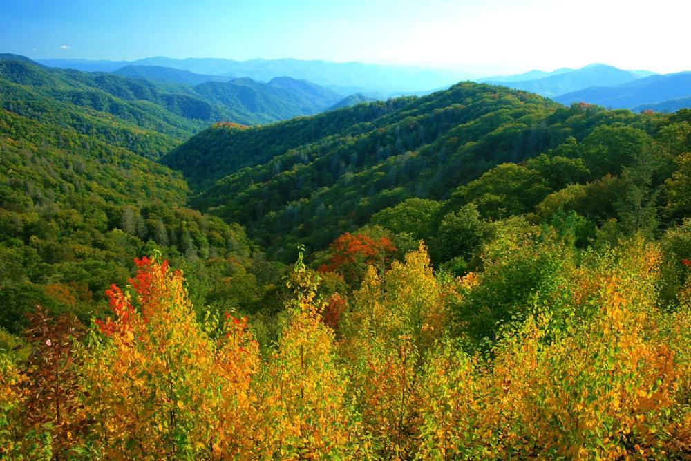 A Charming Cabin, Pool, Firepit, Hot Tub-Jacuzzi Gatlinburg Eksteriør bilde